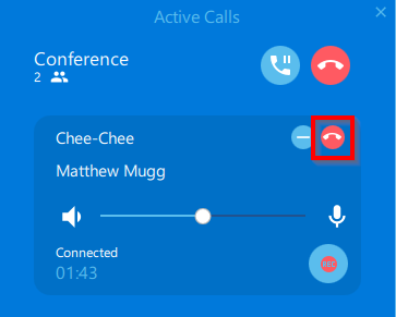 End a call to one of the conference participants